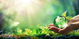 2 hands are holding a world globe crystal ball with green grass and sunny background